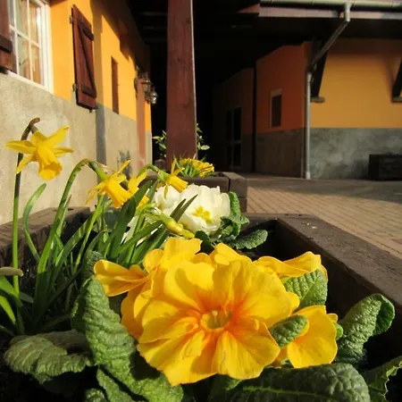 Konukevi La Ferme Pierre***