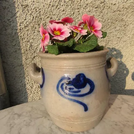 Konukevi La Ferme Pierre*** 3*