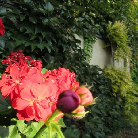 Konukevi La Ferme Pierre*** 3*